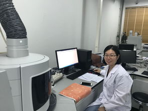 公共技術服務中心人員隊伍建設與技術服務優化策略